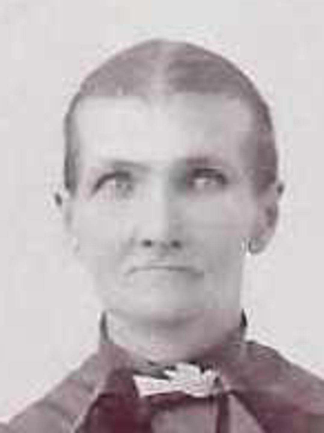 Maria Louisa Sanderson (1833 - 1895) Profile